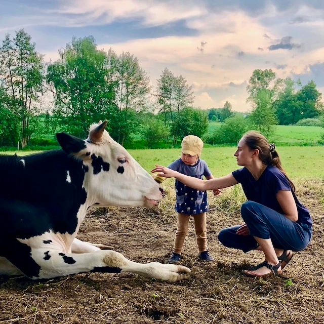 Rind liegt auf einer Wiese, eine Frau kniet mit ihrem Kleinkind davor und streichelt das Rind.